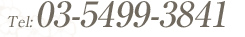 03-5499-3841
