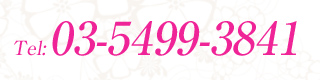 03-5499-3841